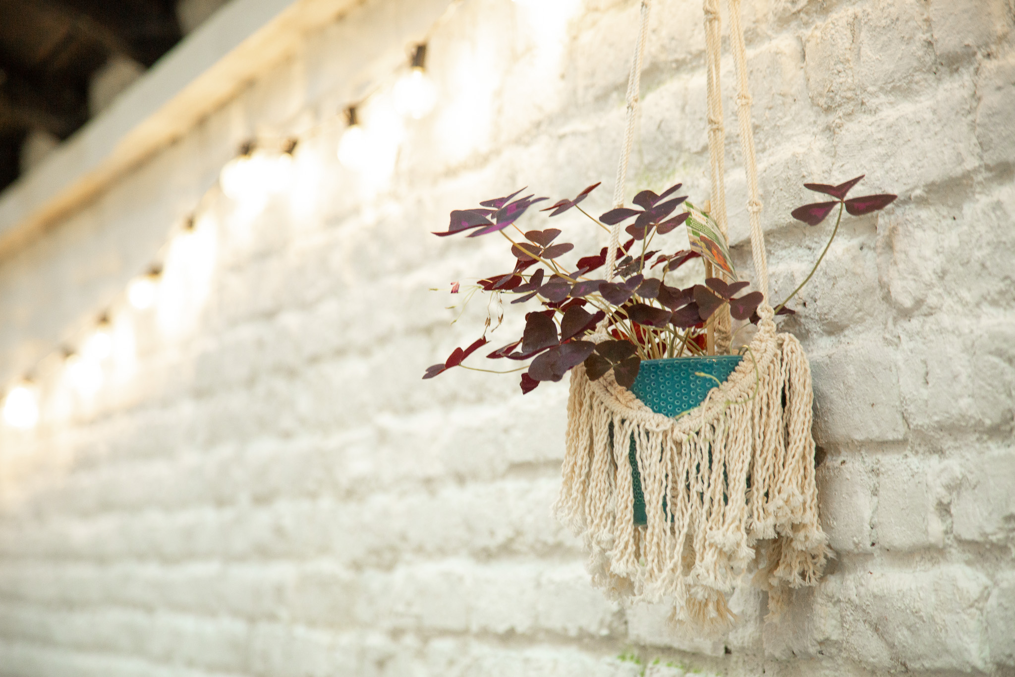 Forest Lighthouse venue 1